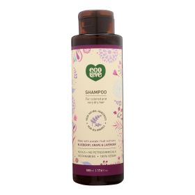 Ecolove Shampoo - Purple Fruit Shampoo For Colored And Very Dry Hair - Case Of 1 - 17.6 Fl Oz.